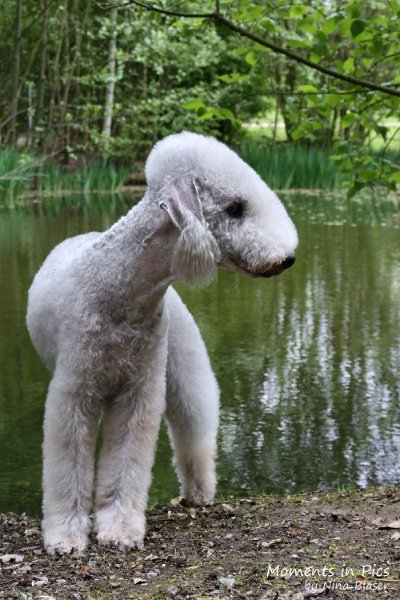 2010-05-01 Svet und Aveline (13).JPG